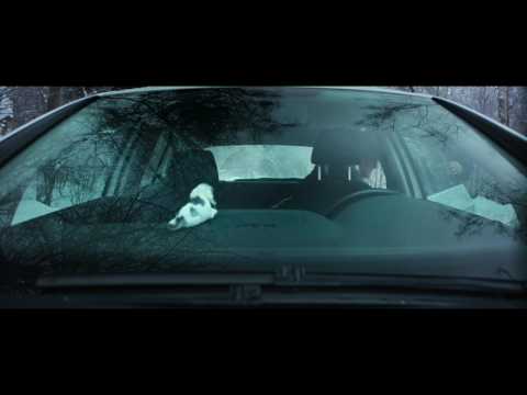 Трейлер фильма "PRO КИНО"