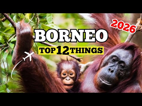 12  Best Things To Do In BORNEO Malaysia | Borneo Travel Guide