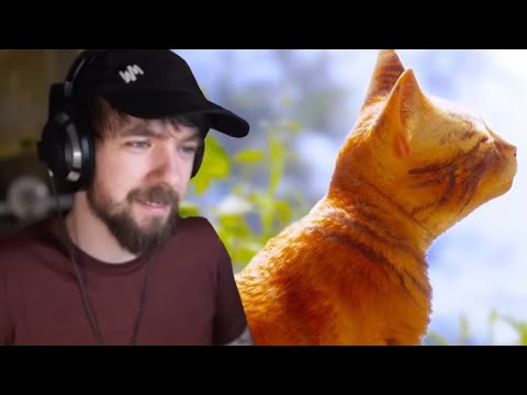 Jacksepticeye Reacts To The Ending Of Stray