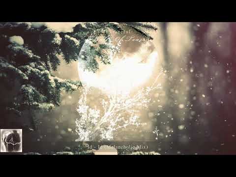 Dave Shifting & Robbie Seed Pres. Sky Motion - Salva (Original Mix)