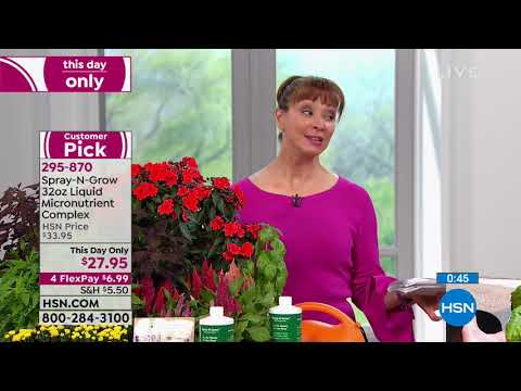 HSN | Fall Clean Up 09.24.2018 - 11 PM