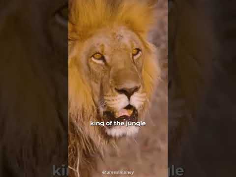 Christopher Walken The Lion Speech