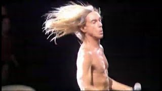 Iggy Pop - My Idea Of Fun