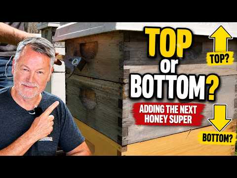 Beekeeping: When Adding Another Honey Super, Top Super or Bottom Super?