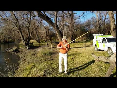 Ultimate Explorer Walking Staff - Sling Stick Application