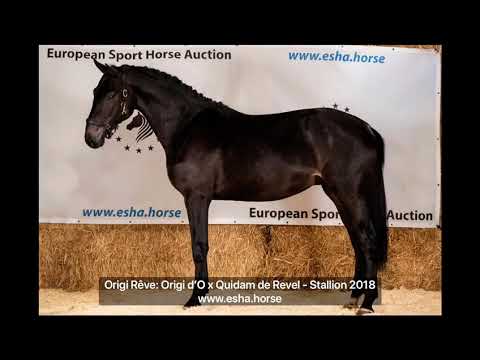 Origi Rêve: Origi d'O x Quidam de Revel