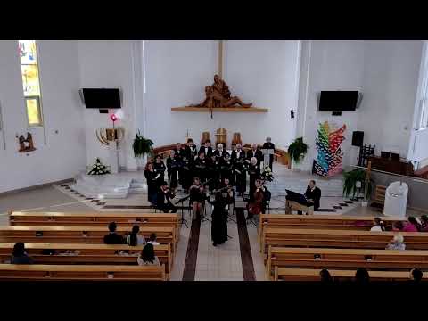 JKS 344 Mária, ochrana (arr. D. Bill)