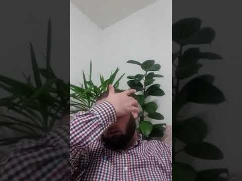 2139. Një porosi Profetike për ty! (22) Hoxhë Suad Shabani