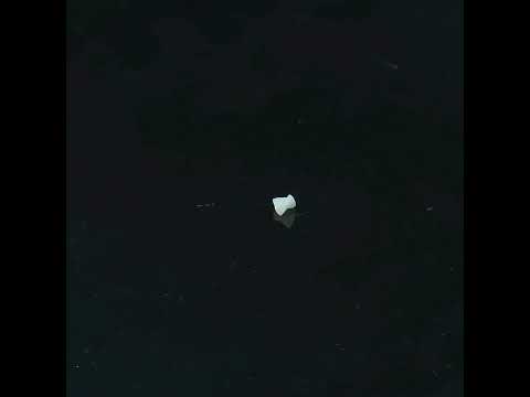 YouTube 썸네일