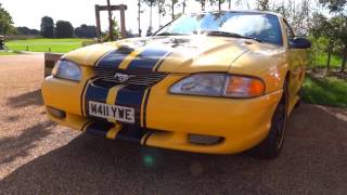 Rover SD1 V8 gatecrashes Mustang Meet