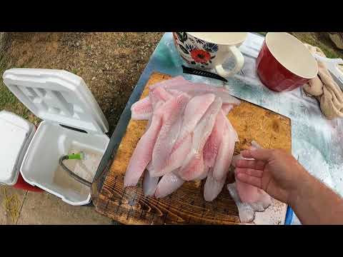 "How to fillet bass with a Electric fillet knife"
