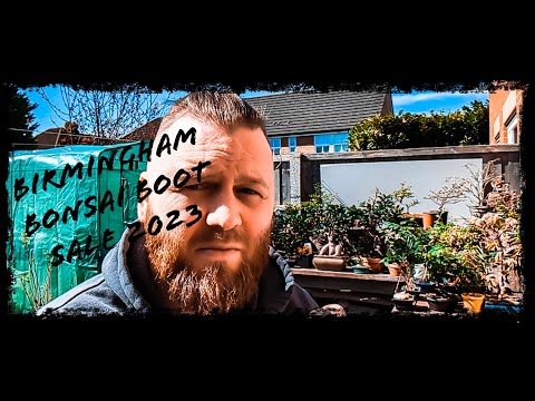 Birmingham bonsai boot sale 2023
