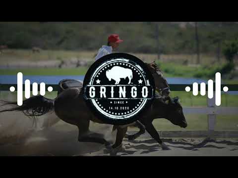 Lucas Boquinha - Desce Deslizando // (Com grave) // 《GRINGO DO GRAVE 》