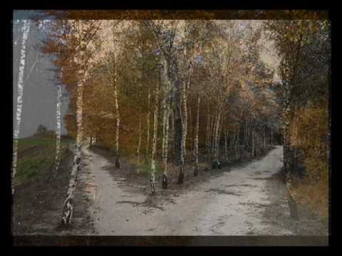 Magnes Dusz-Torzewski