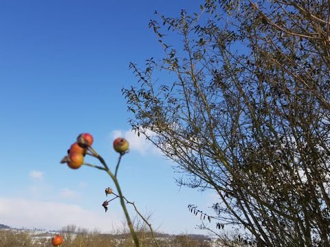 100 Körper strecken und beugen