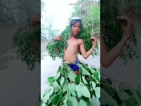 The PokaShells with Ms. LAWAY-LAWAY show..