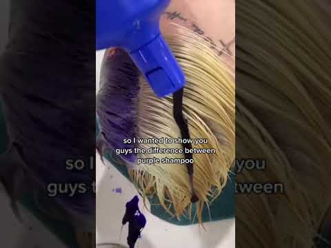 Purple Shampoo vs Blue Shampoo