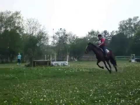 Cross Zwijnaarde 2011