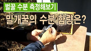 벌들이 꿀장을 봉하는 수분 농도는? 밀개꿀장의 수분 함량은?