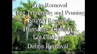 preview picture of video 'Tree Trimming and Pruning Coconut Creek, Fl'