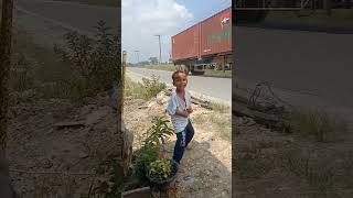 Download lagu Langganan anakΒ² tiap hari π om telolet om setiap kali om ini lewat ππ#omtelolet #palingkocak mp3 Download lagu Langganan anakΒ² tiap hari π om telolet om setiap kali om ini lewat ππ#omtelolet #palingkocak mp3