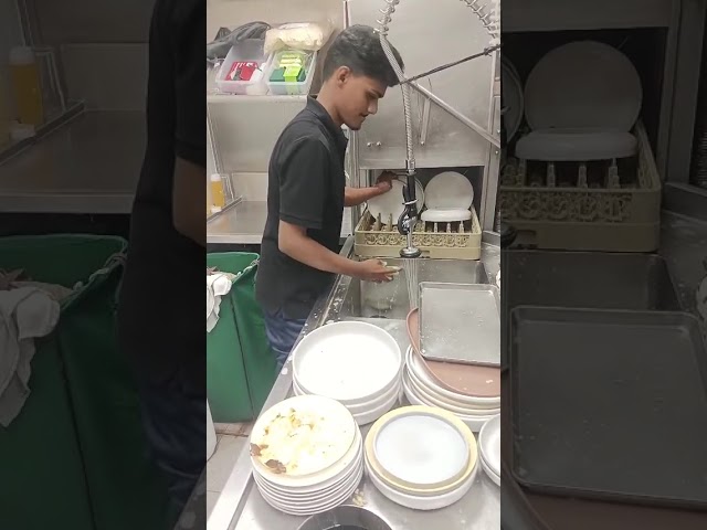 Dishwashing Video 1
