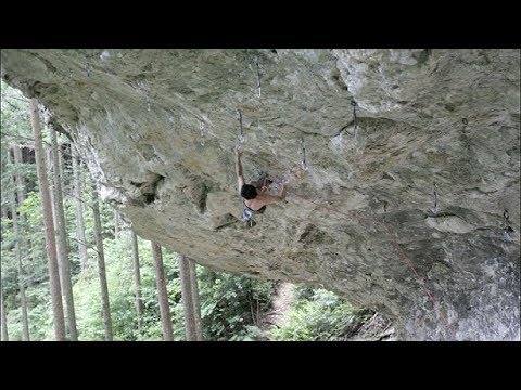 Dai Koyamada「spectator 14D」  小山田大「スペクテーター（観覧者）」