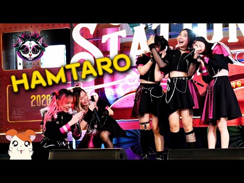 「Hamtaro」Deadkat「デッドカット」