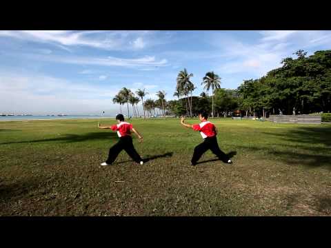 Master Daniel Tan and Alice Chingay Gongfu Fan @ Eastcoast Park.MOV