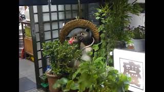 Pure Bathing Culture - Hats (Full Album)