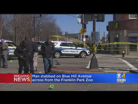 Daytime Stabbing In Dorchester Leaves Man With Serious Injuries