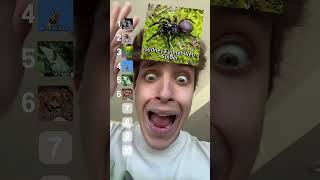 Amo a las arañas 💀 | Iker Unzu