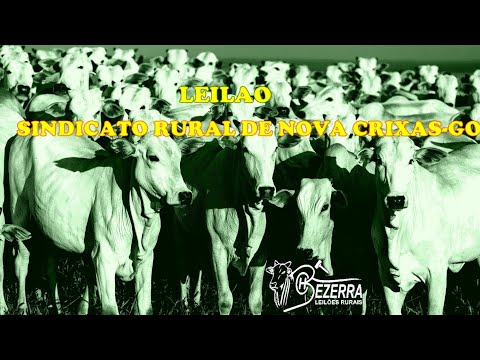LEILAO DO SINDICATO RURAL DE NOVA CRIXAS-GO