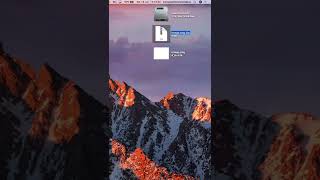 How to COMPRESS an Image to a Zip File Using a Mac #shorts #shortvideo #shortsfeed