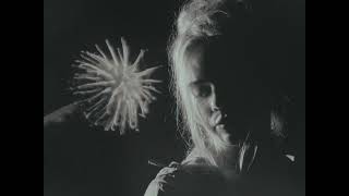 Lemondaze – o(type)