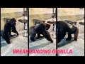 Breakdancing Gorilla Shorts