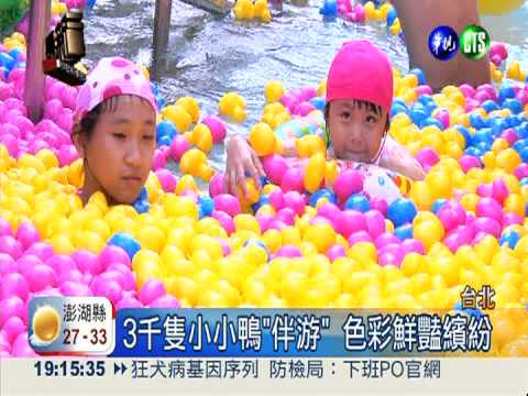 泳池水樂園! 3米高黃色小鴨同樂