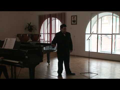 Si daca ramuri bat in geam ( George Stephanescu )  - GEORGE VALENTIN