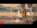Thoda SA Pyaar Hua Hai Thoda Hai Baaki WhatsApp Status Video
