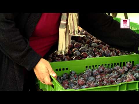 Genuss Region Österreich -  Bauernmarkt Lendplatz