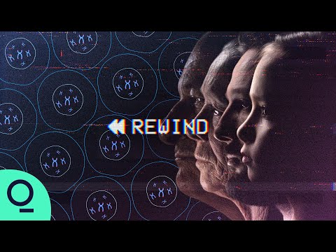 Meet The Scientists Trying to Reverse Aging