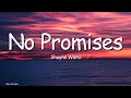 Shayne Ward No Promises Lyrics Love Song