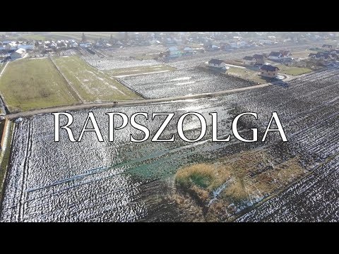 Farczi SRG 171 x FEELZ - Rapszolga