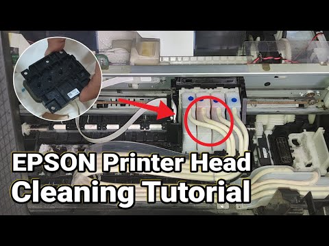 Encoder Strip with Metal Compatible with HP DesignJet 500 510 800 PS Plotter 42 Inch B0 C7770-60013 video review thumbnail