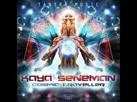 01 Kaya Seneman - Lose in the Universe