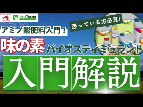 B4: 可燃性固体