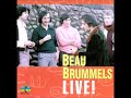 The Beau Brummels - Lisa (Live)