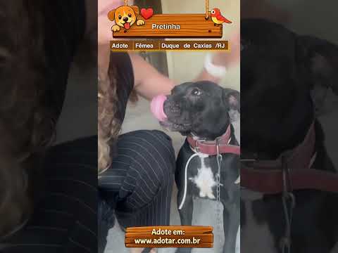 Vídeo de Pretinha