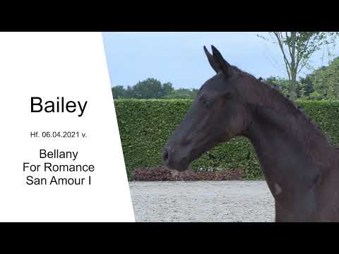 Hf v Bellany x For Romance x San Amour I 2021