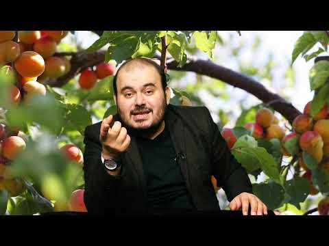 Rüyada meyve ağacı görmek Rüya tabirleri, Rüya yorumu, Rüya tabiri